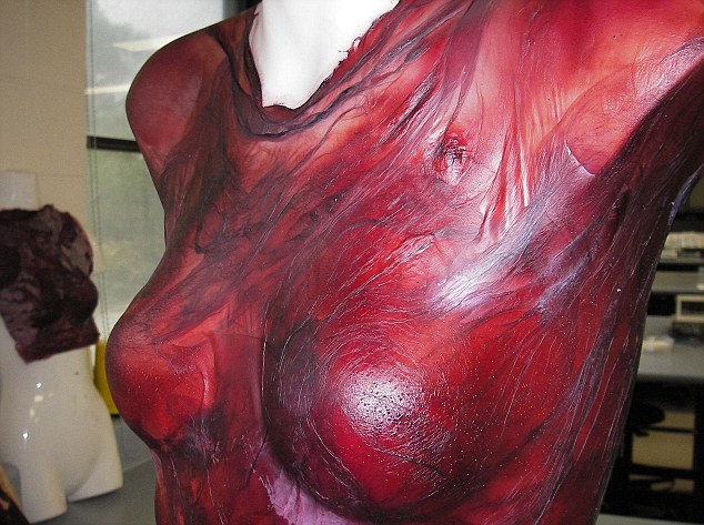 Imagen de la noticia Ví­stete de Vino