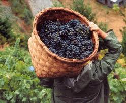 News image Mit Blick auf die 2012-Jahrgang