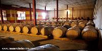 bodegaslosaguilares1