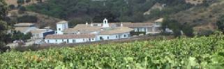 bodegaslosaguilares2