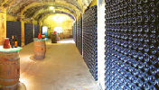 bodegasvinosferrer2