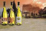 bodegasmarquesdevizhoja_botella