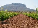 bodegassanalejandro3