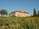 bodegaspazodegalegos1