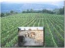 bodegaspagocasanova2