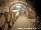 bodegasvalsotillo1