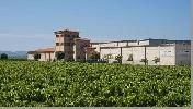 bodegasestebanmartin1