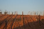 bodegasvizcarra_4