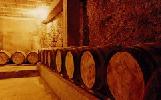 bodegasvalerotorres1