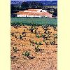 bodegascillar2