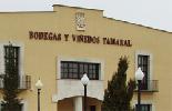 bodegastamaral2