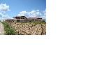bodegassolorca1