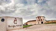 bodegasarrocal1