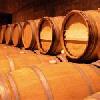 bodegasmontecastro2