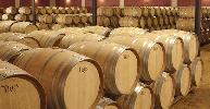 bodegastrus3