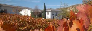 bodegasjilaba2