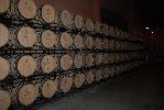 bodegaspierola_1