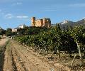 bodegasremirezdeganuza3