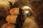bodegasgonzalezteso2