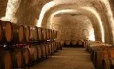 bodegasbanosbezares2