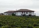 bodegasibaiondo1