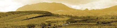 bodegasjalon1