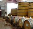 bodegasjalon2