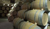 bodegasmarquesdearviza4
