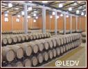 bodegascamponuble3