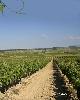 bodegasmartinezpalacios3