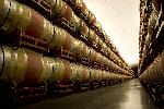 bodegasmontecillo4