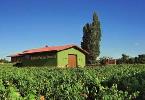 bodegaspascuallarrieta2
