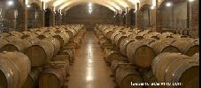 bodegascastelldelremei2