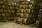 bodegasrealjunta2