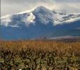 bodegasrubiovillar3