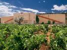 bodegassaenzdesantamaria2