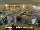 bodegascellerbatea2