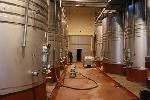 bodegasomalo3