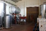 bodegasomalo4