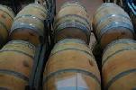 bodegasvinasalceda4