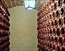 bodegacandidohdezpio1