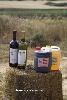 vinsmaijo1