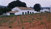 bodegascasadelpinar2