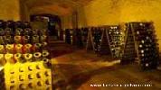 bodegasmont-marcal2