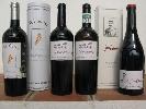 bodegastorresfiloso_botella