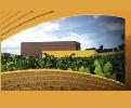 bodegashaciendamiguelsanz2