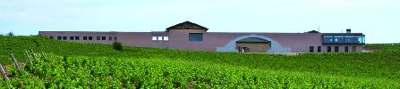 bodegascvsolterra2