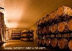 bodegassenorionevada2