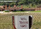 bodegasvinamayor1