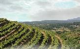 bodegasaltostorona3